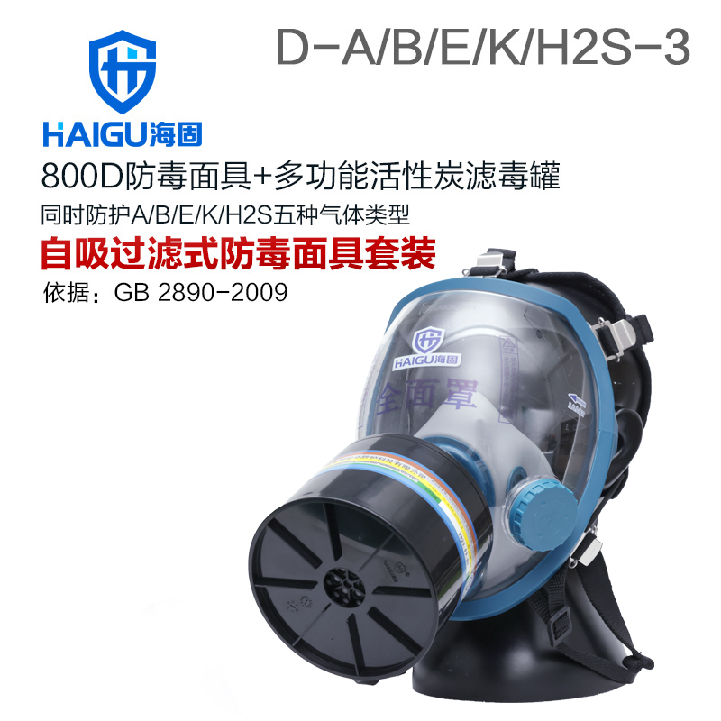 海固800D全面罩+HG-ABS/D-A/B/E/K/H2S-3滤毒罐 综合防毒气套装