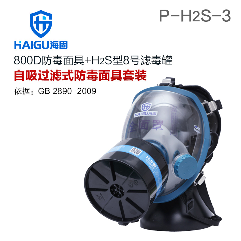 海固800D全面罩+HG-ABS/P-H2S-3滤毒罐 硫化氢活性炭防毒面具